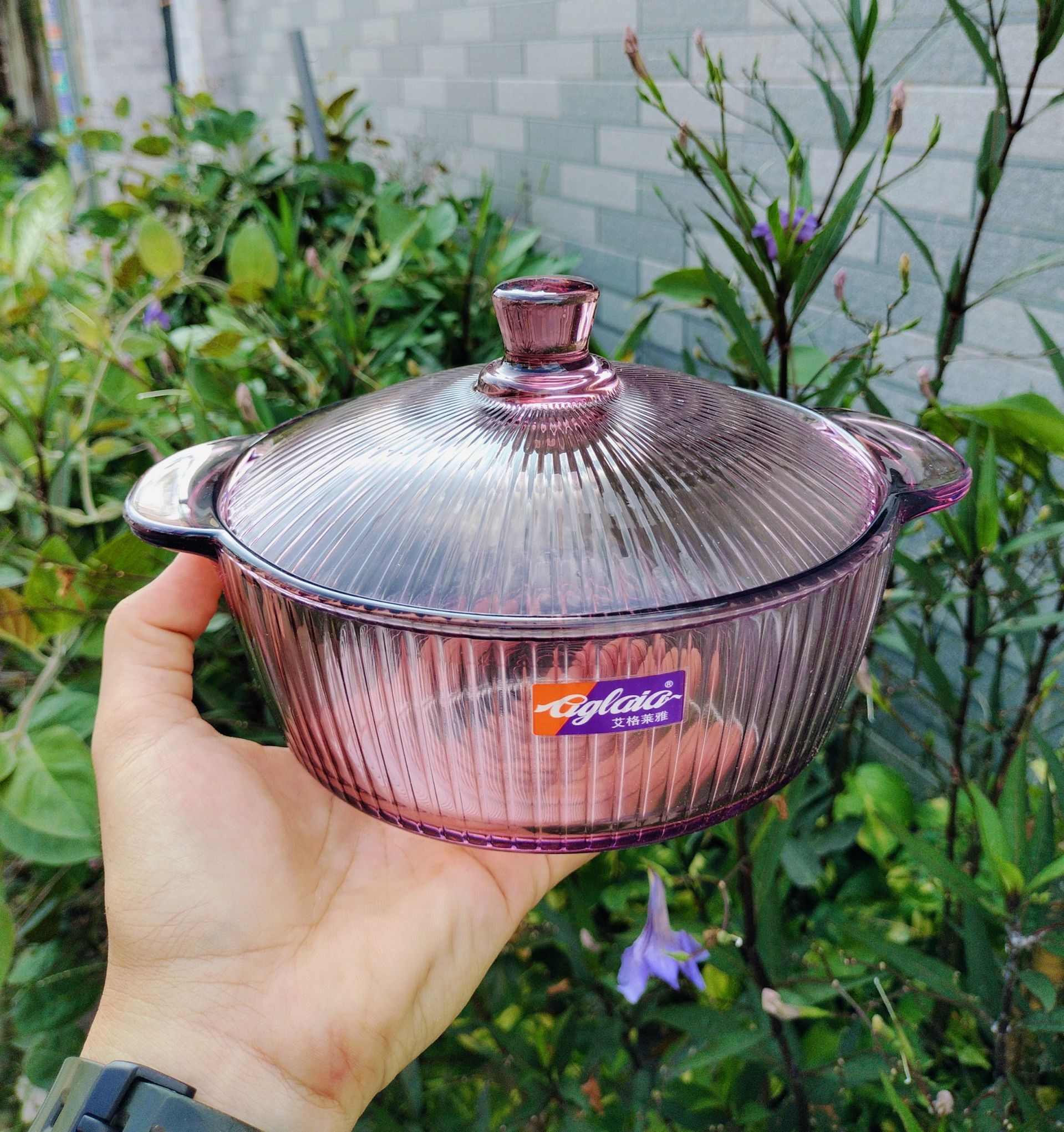 THỐ THỦY TINH 1000ML MÀU TÍM HOTTREND